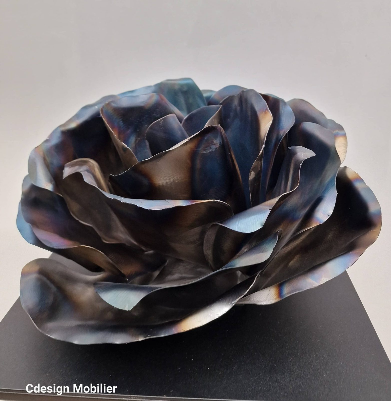 ROSE BLACK BEAUTY