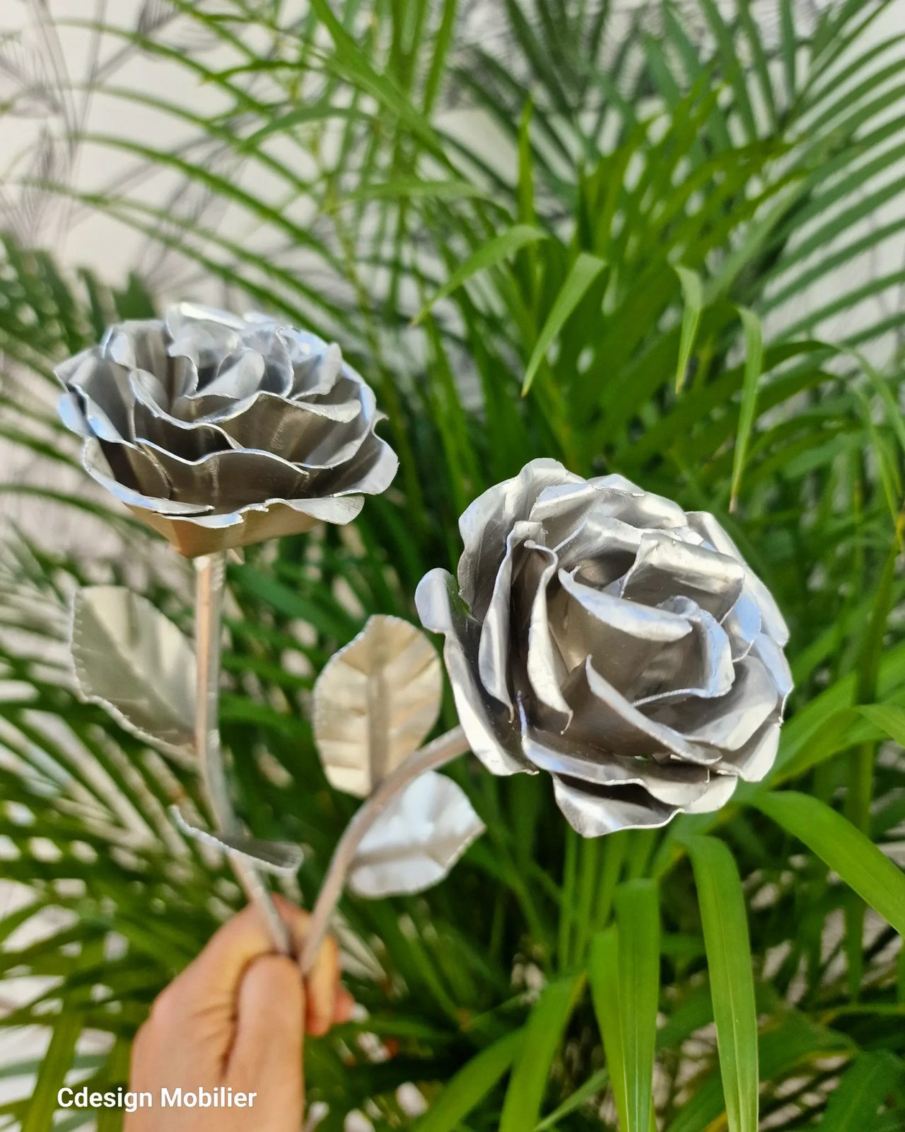 ROSE ÉTERNELLE